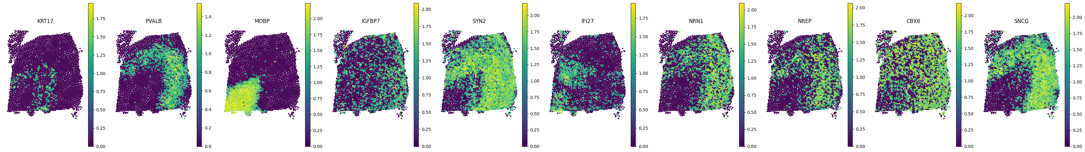 _images/Tutorial_6_DLPFC_interpolation_35_0.png