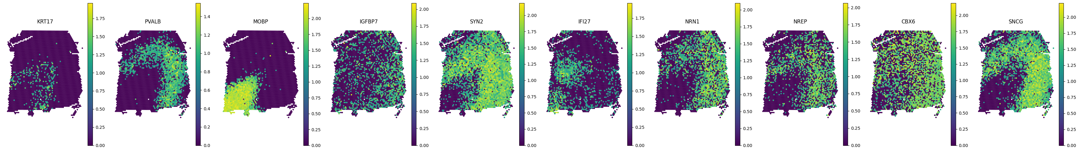_images/Tutorial_6_DLPFC_interpolation_37_0.png