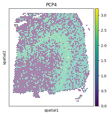 _images/Tutorial_6_DLPFC_interpolation_42_0.png