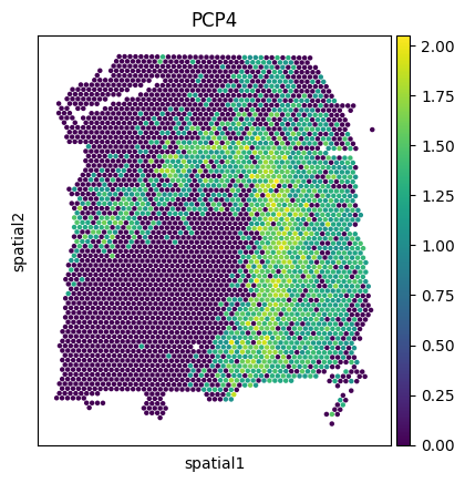 _images/Tutorial_6_DLPFC_interpolation_42_4.png