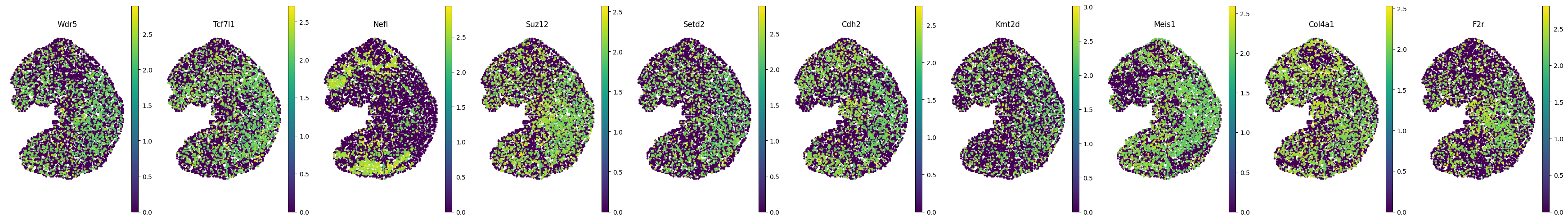 _images/Tutorial_8_Diff_Tech_MOSTA_integration_31_0.png