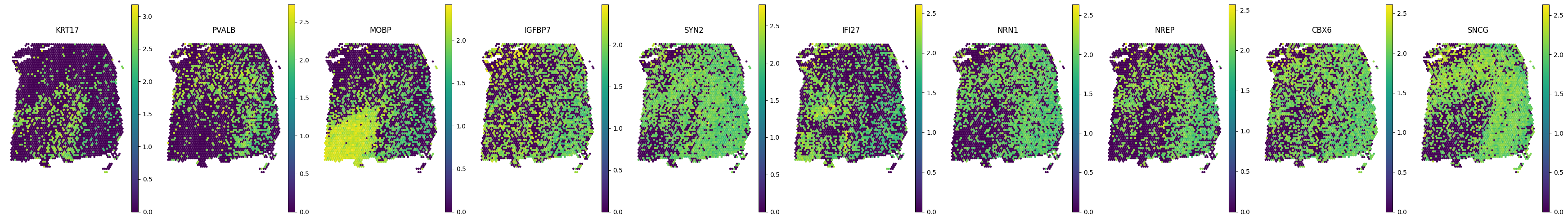 _images/Tutorial_6_DLPFC_interpolation_38_0.png