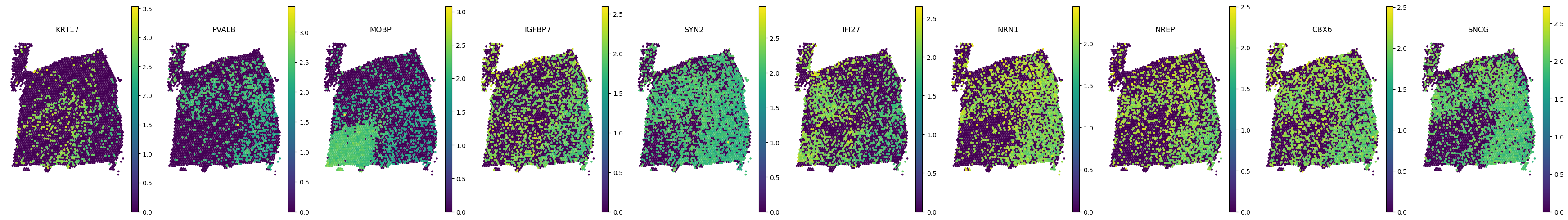 _images/Tutorial_6_DLPFC_interpolation_39_0.png