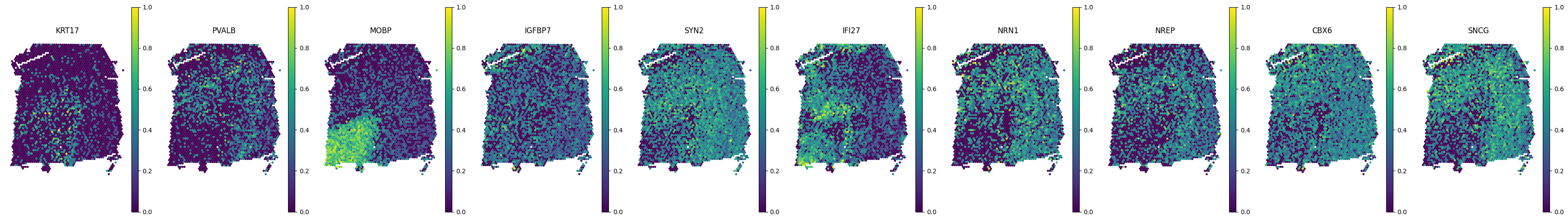 _images/Tutorial_6_DLPFC_interpolation_40_0.png