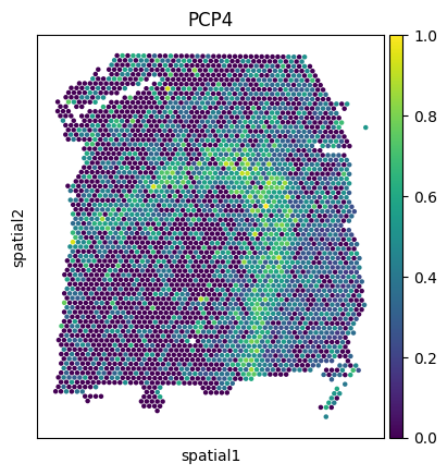 _images/Tutorial_6_DLPFC_interpolation_42_2.png