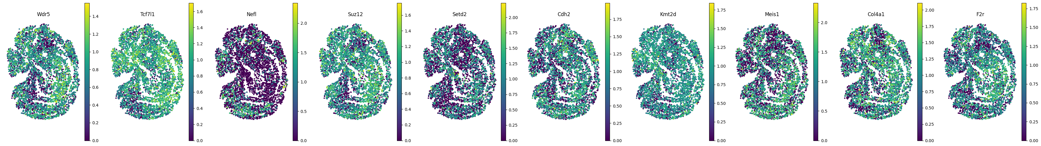 _images/Tutorial_8_Diff_Tech_MOSTA_integration_29_0.png
